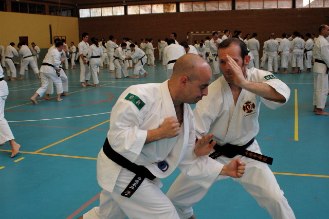 Entrenando técnicas con Juan Luis Escot (4º Dan, Cartagena)