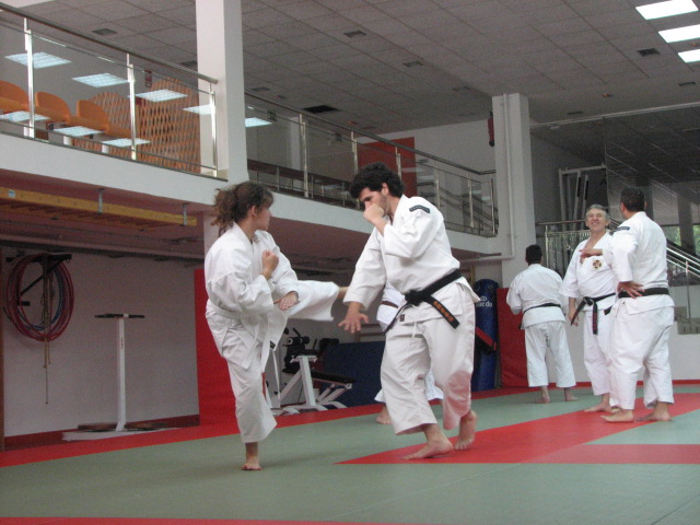 IMG_5570 Kenshis almerienses durante la práctica.