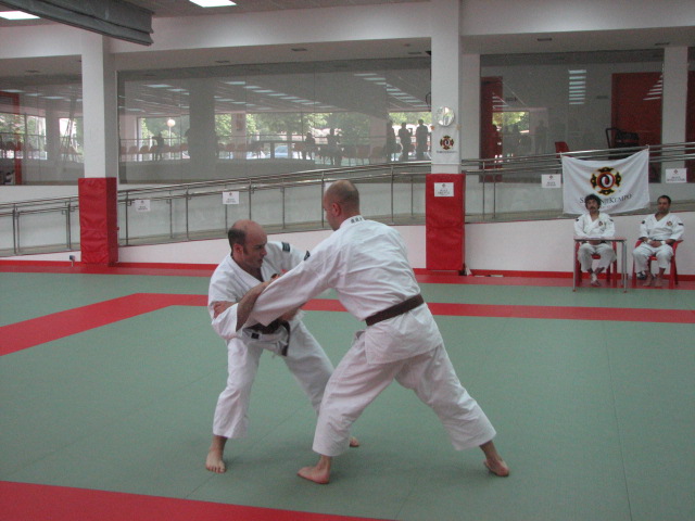 IMG_5610 Kenshis de la sección Donostia durante la demostración, en pleno esfuerzo por una causa benéfica.