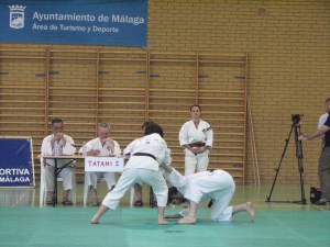Alvaro y Jose Luis en plena acción durante su participación