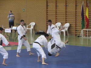 El sensei Toni Gómez, además de coordinar todo el evento también realizó un embu de desmostración