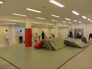 Pintando las paredes